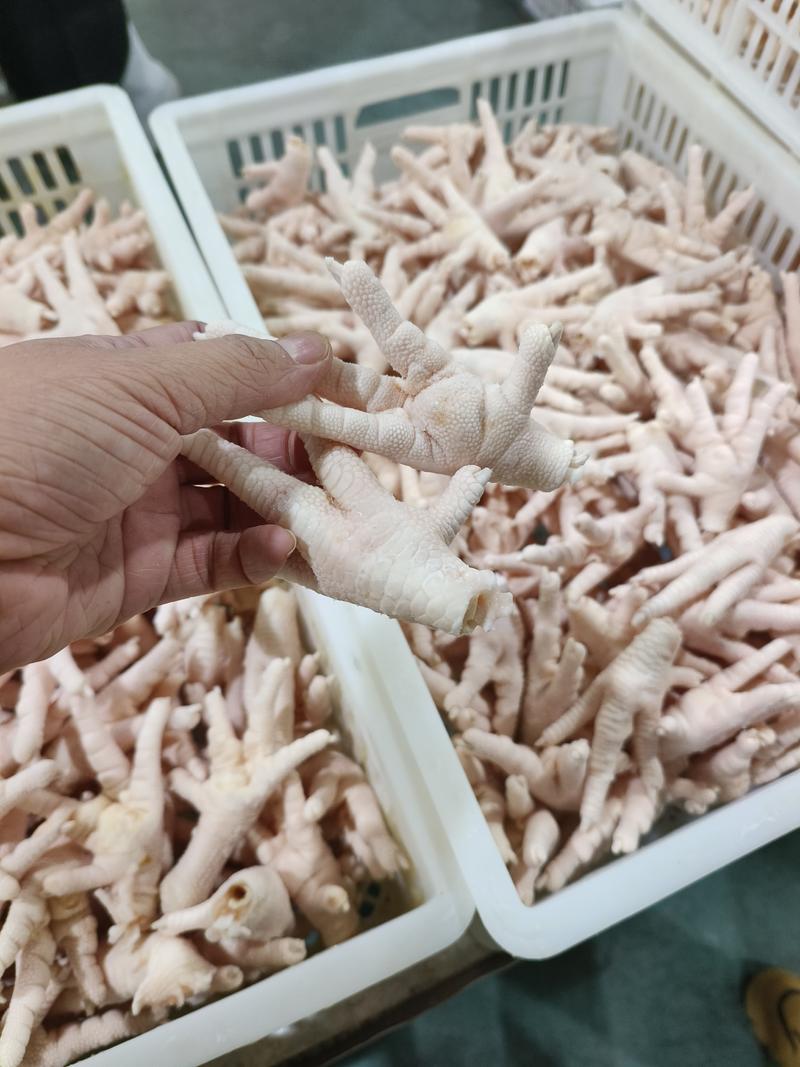 鸡副产品凤爪鸡爪国产冷冻食品实力工厂原料纯干