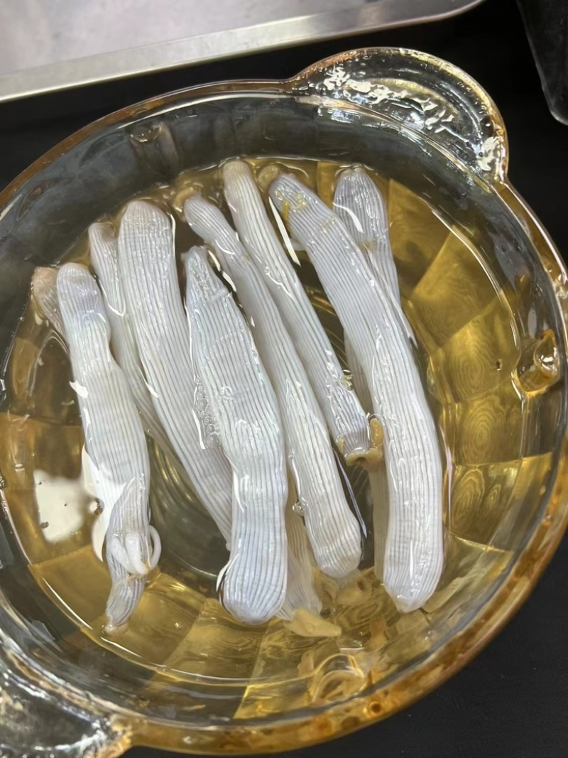 大沙虫干黑灰沙虫干无沙足干漂亮全新货价格便宜有量批发