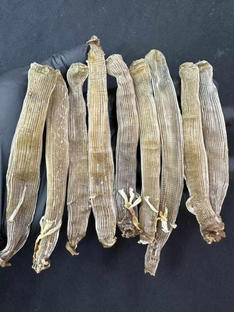 大沙虫干黑灰沙虫干无沙足干漂亮全新货价格便宜有量批发