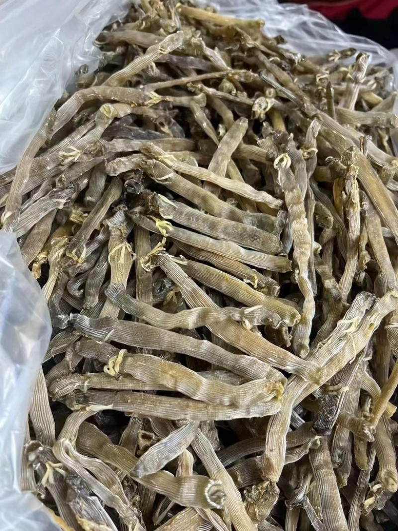 大沙虫干黑灰沙虫干无沙足干漂亮全新货价格便宜有量批发