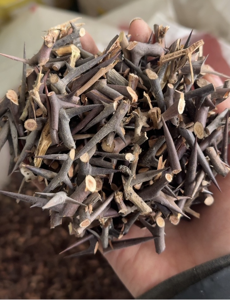 皂针皂角刺天丁皂刺手工剪皂针皂针皂角片皂刺