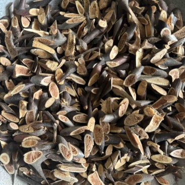皂针皂角刺天丁皂刺手工剪皂针皂针皂角片皂刺