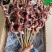 凤舞串鱿鱼串，100克一支，100支一件，5包*20