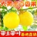 正宗嫁接百香果苗生长快易结果/现挖现发/包成活/可签合同