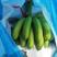 精品巴西蕉香蕉大量供应，云南保山产地直发新鲜采摘量大从优