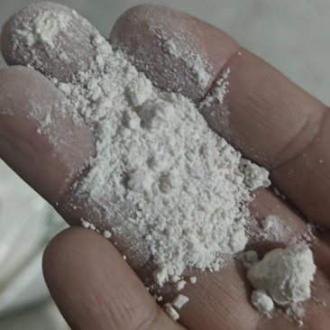 红薯淀粉