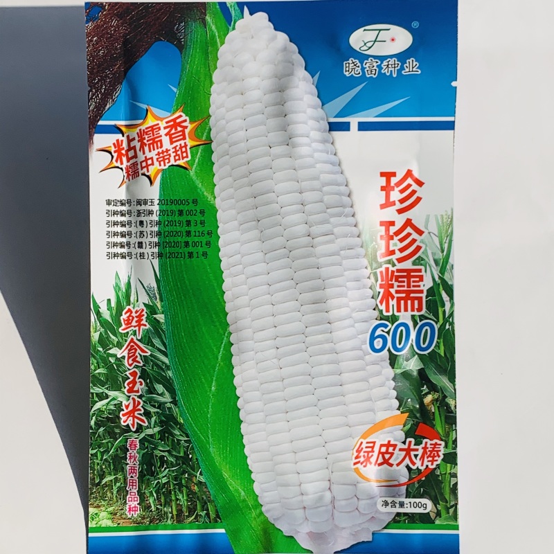 珍珍糯600甜糯玉米种子特大棒白糯粘香甜糯玉米种子