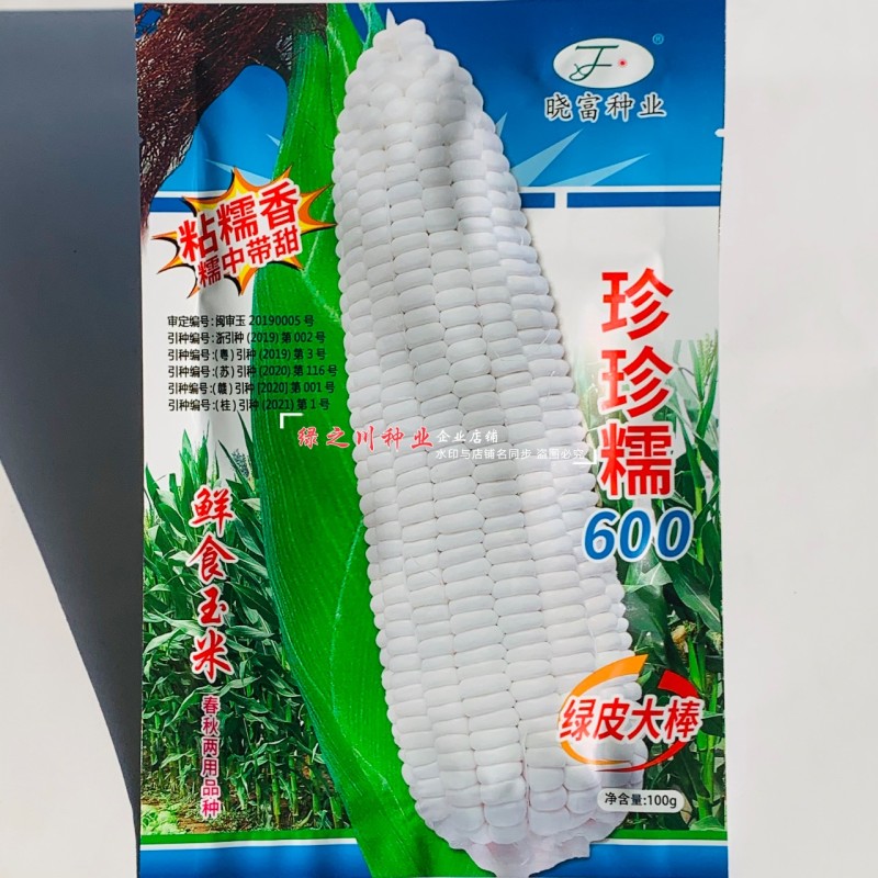 大棒白糯玉米种子晓富珍珍糯600玉米种子糯中带甜粘糯香