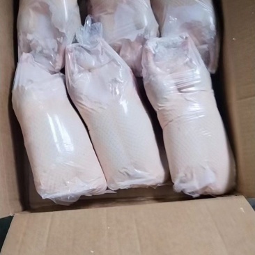 白条鸭