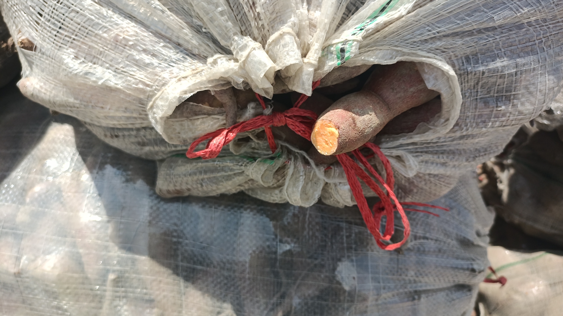 特小凤西瓜在电商平台上的销售页面展示