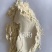 饲料标粉