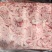 小花肠（两板）猪花肠猪儿肠新鲜猪脆肠胎盘欢迎联系