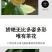 山茶花-正黄旗-珍贵稀有品种-开花黄色