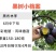 河南正宗黑布林李子苗黑宝石苗木钻木嫁接成品苗源头发