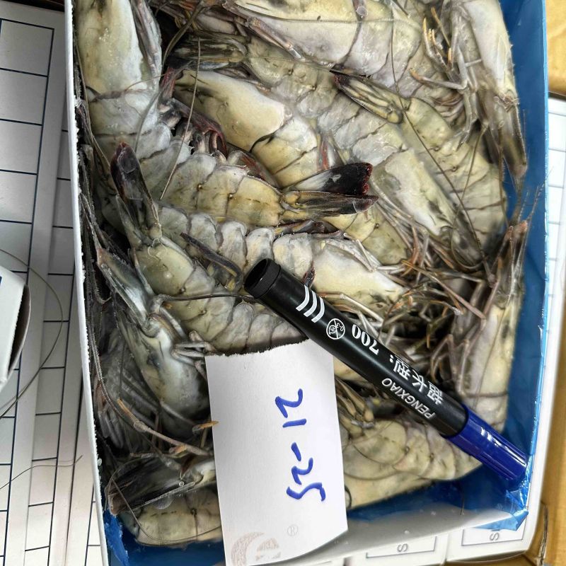 泰国活冻黑虎虾全规格