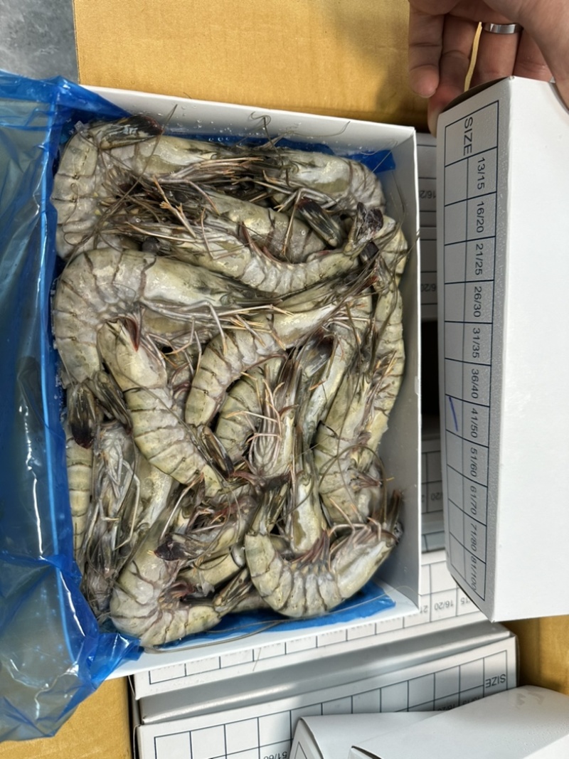 泰国活冻黑虎虾全规格