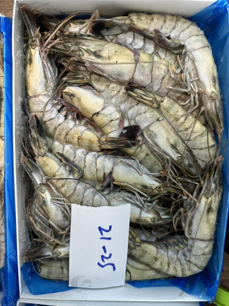 泰国活冻黑虎虾全规格