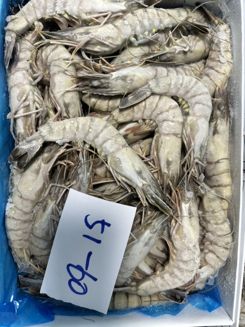 泰国活冻黑虎虾全规格
