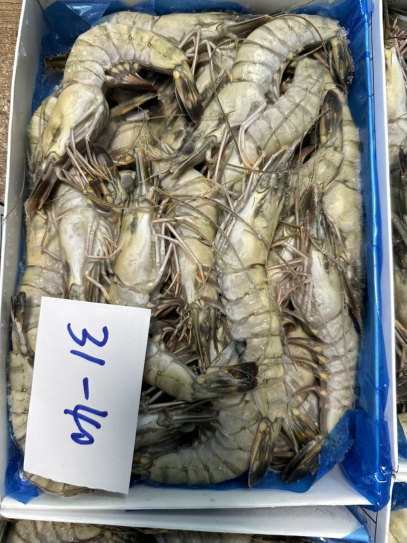 泰国活冻黑虎虾全规格