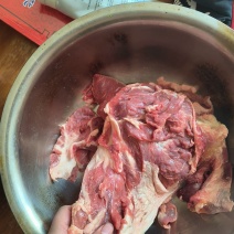 牛肉筋大块纯干