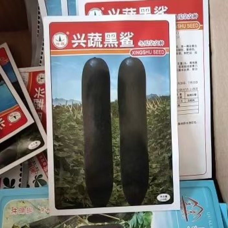 《兴蔬黑鲨》黑皮冬瓜种子个大品质好产量高欢迎致电咨询