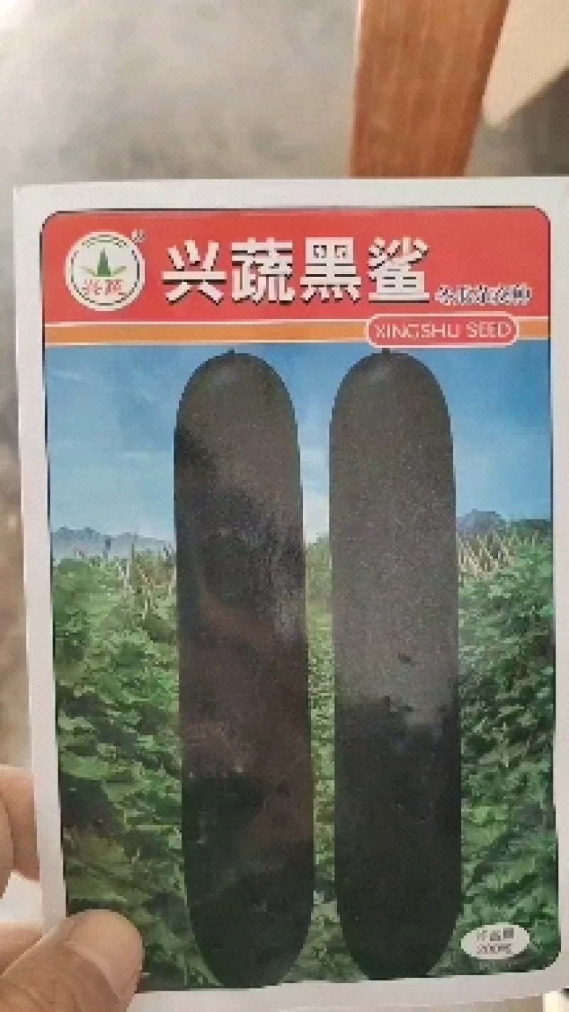 《兴蔬黑鲨》黑皮冬瓜种子个大品质好产量高欢迎致电咨询