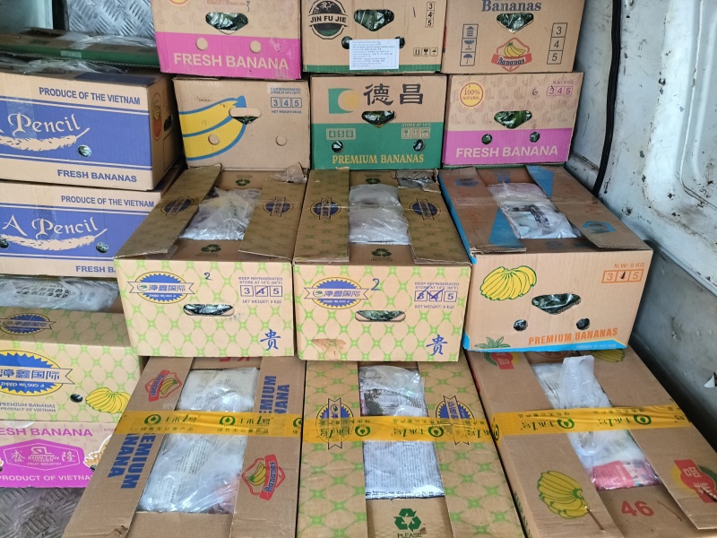 冰草、冰菜、非洲冰草、特菜、基地直供、量大优惠