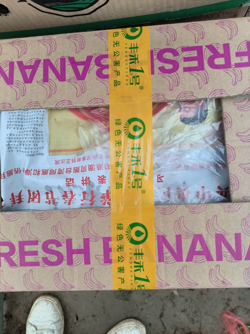 冰草、冰菜、非洲冰草、特菜、基地直供、量大优惠