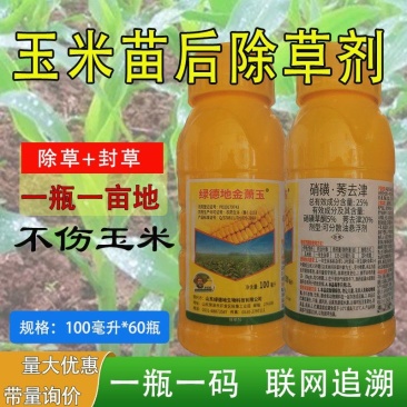玉米苗后专用除草剂安全不伤苗硝磺草酮莠去津玉米地封闭除草
