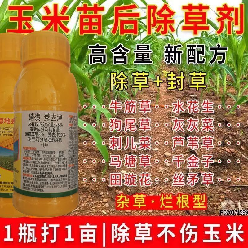 玉米苗后专用除草剂安全不伤苗硝磺草酮莠去津玉米地封闭除草