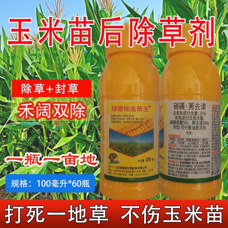 玉米苗后专用除草剂安全不伤苗硝磺草酮莠去津玉米地封闭除草