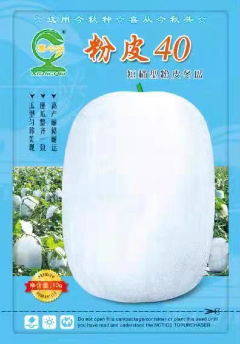 粉皮40粉皮冬瓜短筒型肉质致密耐储运
