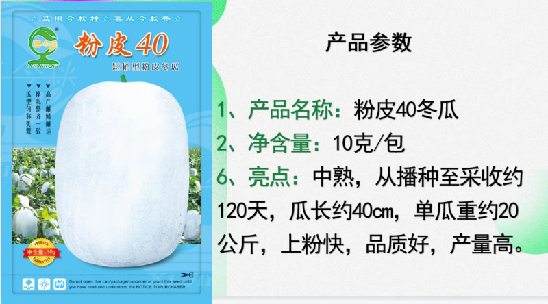 粉皮40粉皮冬瓜短筒型肉质致密耐储运
