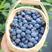 一件代发优质蓝莓，品质保证，规格多样现货