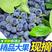 一件代发优质蓝莓，品质保证，规格多样现货