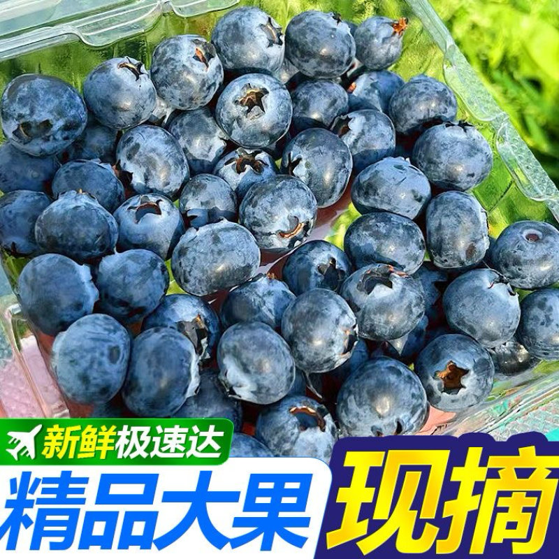 一件代发优质蓝莓，品质保证，规格多样现货