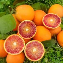 重庆长寿湖塔罗科血橙自产自销，无需任何费用