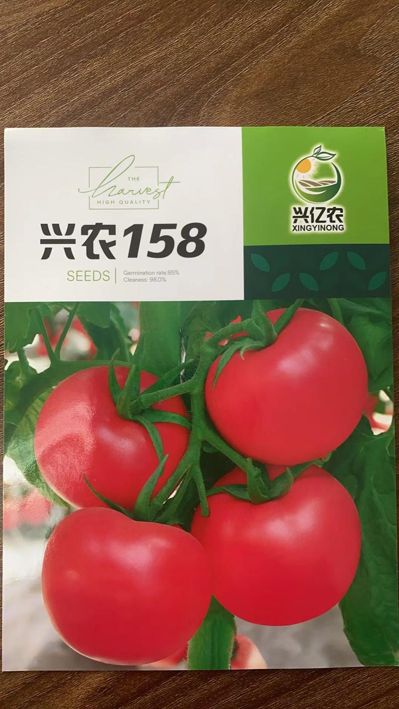 兴农158大红硬粉西红柿种子，耐热抗病适合早春秋延及露地