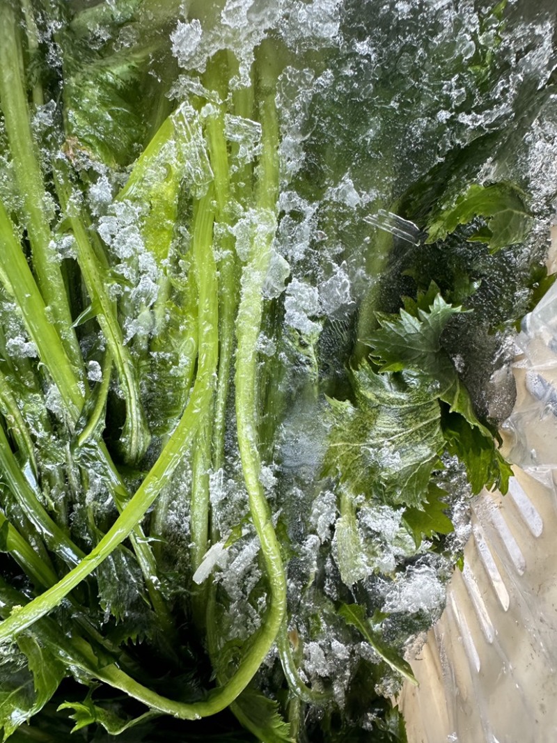 青雪菜雪里红