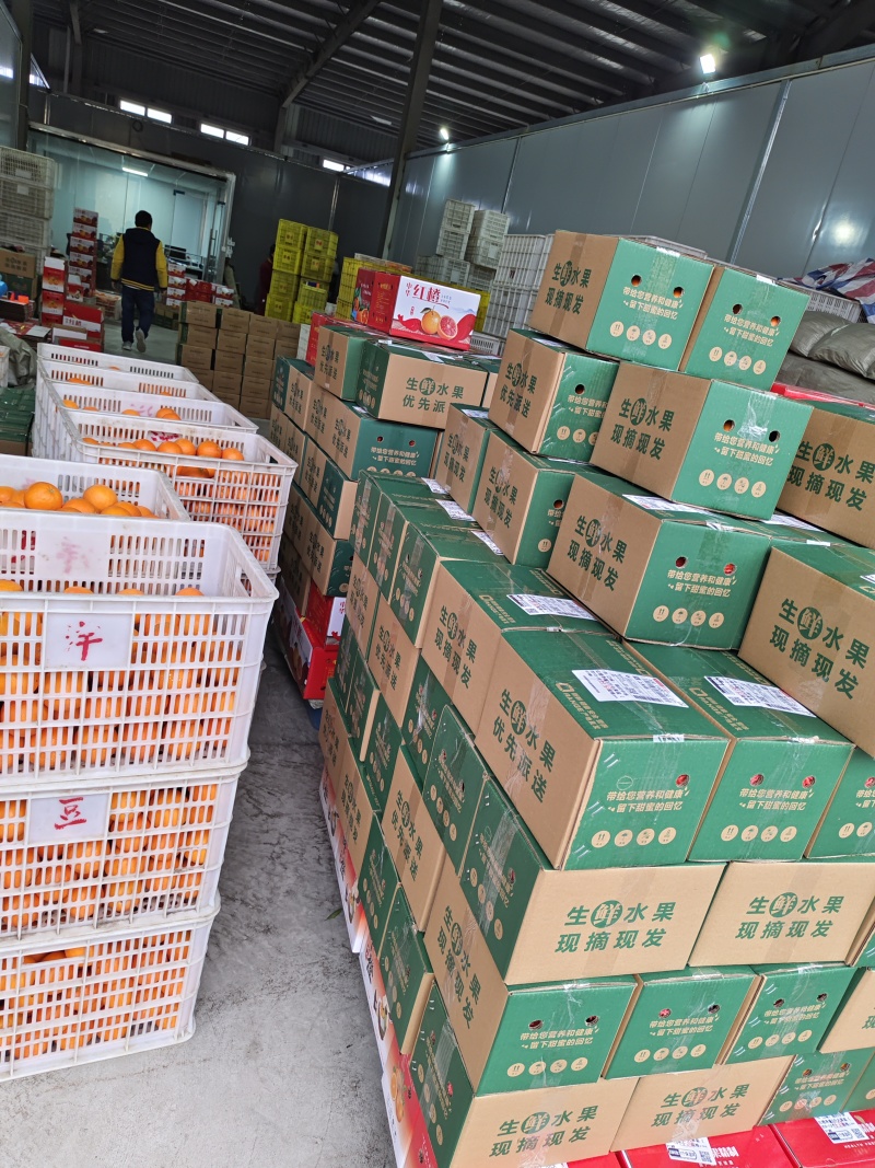 夏橙产地一手货源一件代发社区团购整车配送等