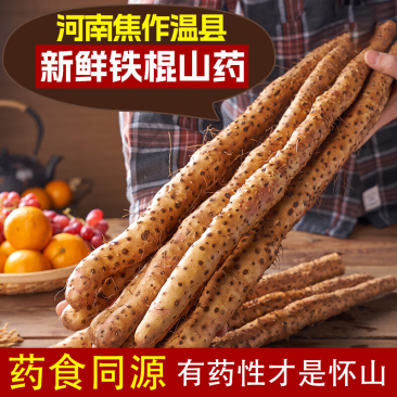 河南铁棍山药焦作特产温县铁杆山药怀山药新鲜整箱包邮