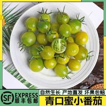 【悦特】新鲜青口蜜寿光绿宝石小番茄樱桃圣女果绿圣女果