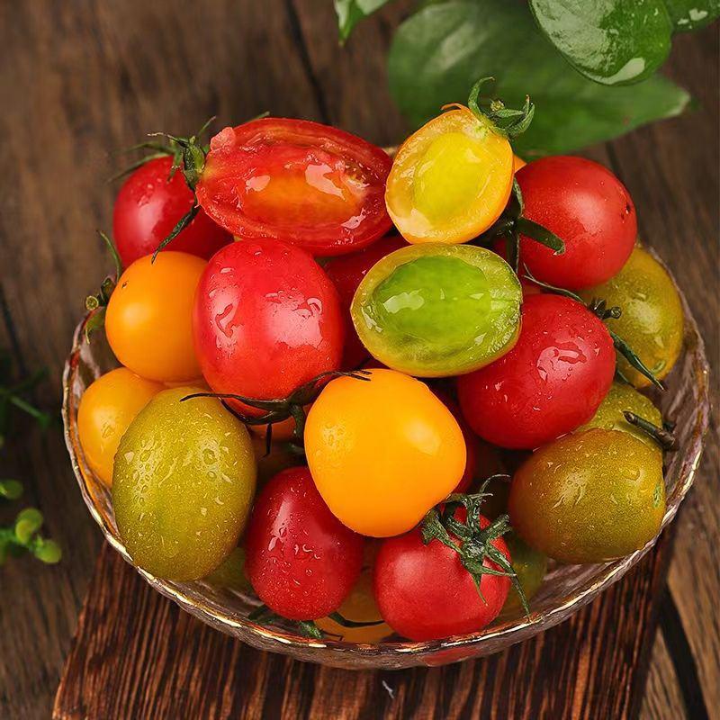 【玖玖农场】三色小番茄圣女果新鲜现摘2/4斤夏日阳光青口