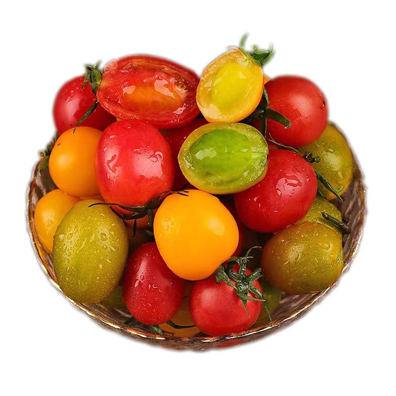 【玖玖农场】三色小番茄圣女果新鲜现摘2/4斤夏日阳光青口