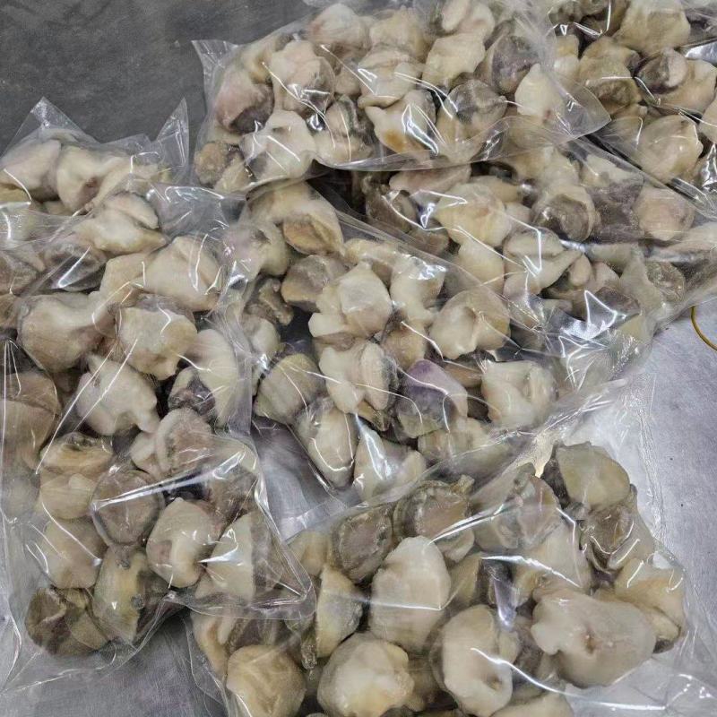 精品海螺肉20斤装品质保证全国可发货量大从优