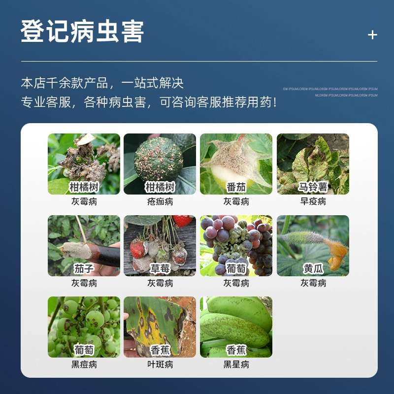 德国拜耳露娜清氟吡菌酰胺嘧霉胺草莓灰霉病黑痘病正品杀菌剂
