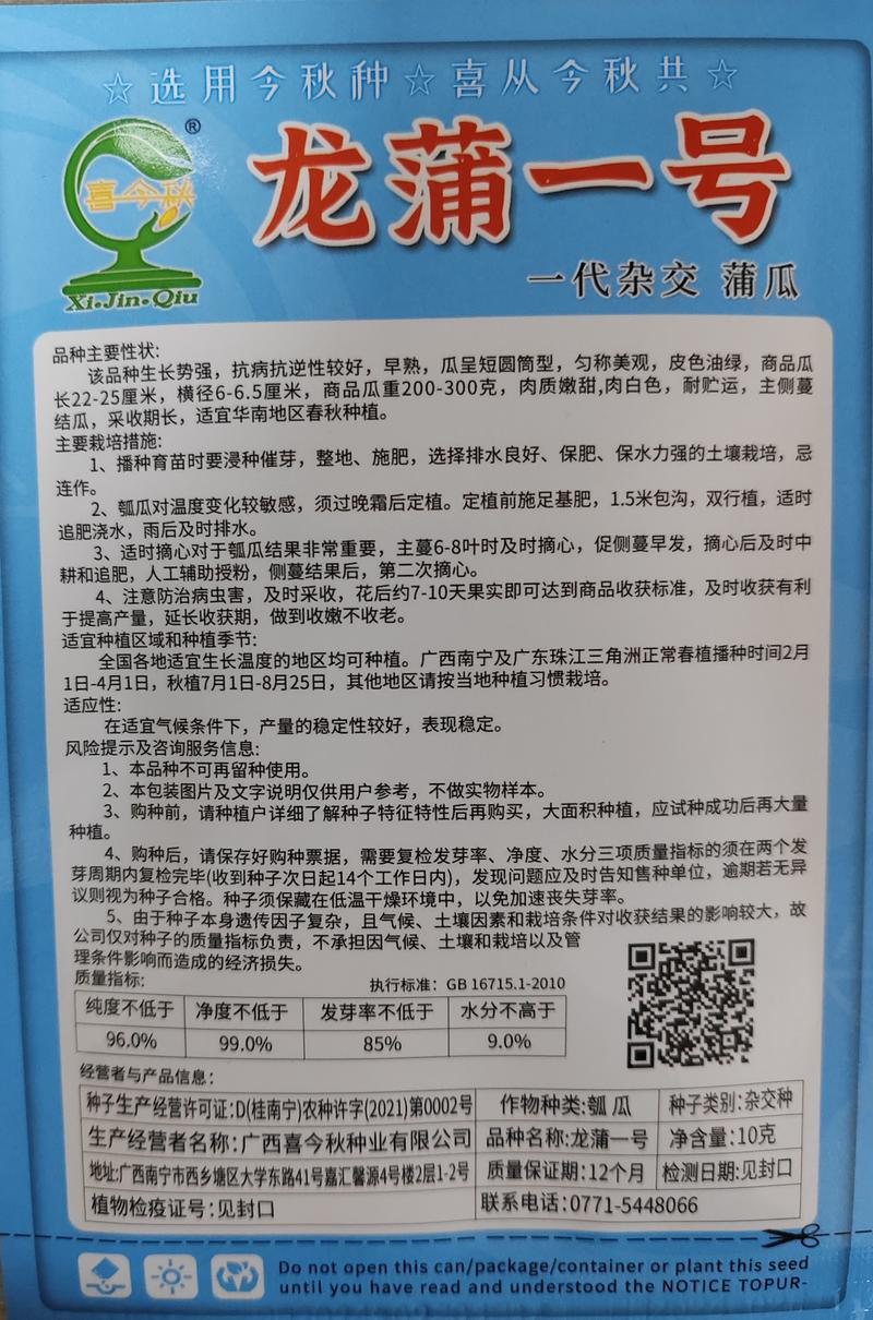 龙蒲一号早熟皮色油绿肉质嫩甜采收期长