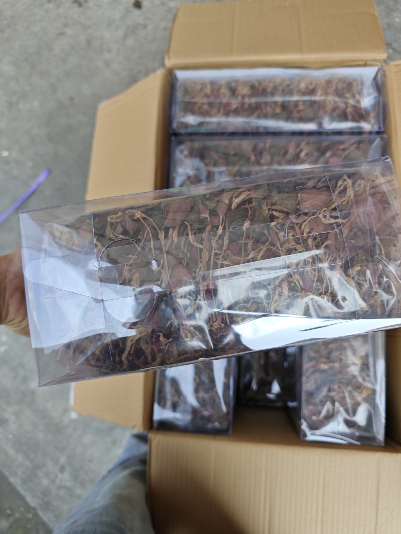 台湾红霞金线莲