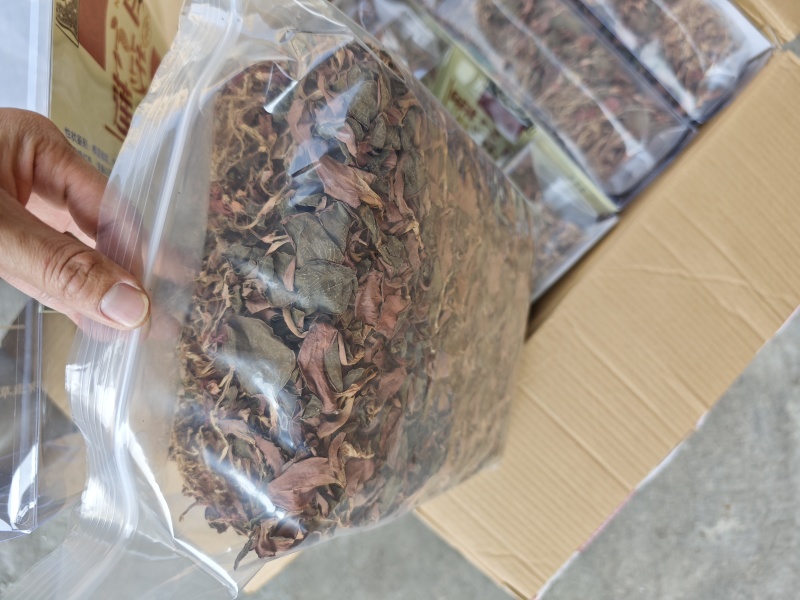 台湾红霞金线莲