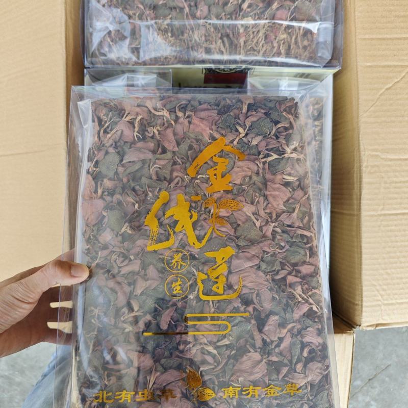 台湾红霞金线莲